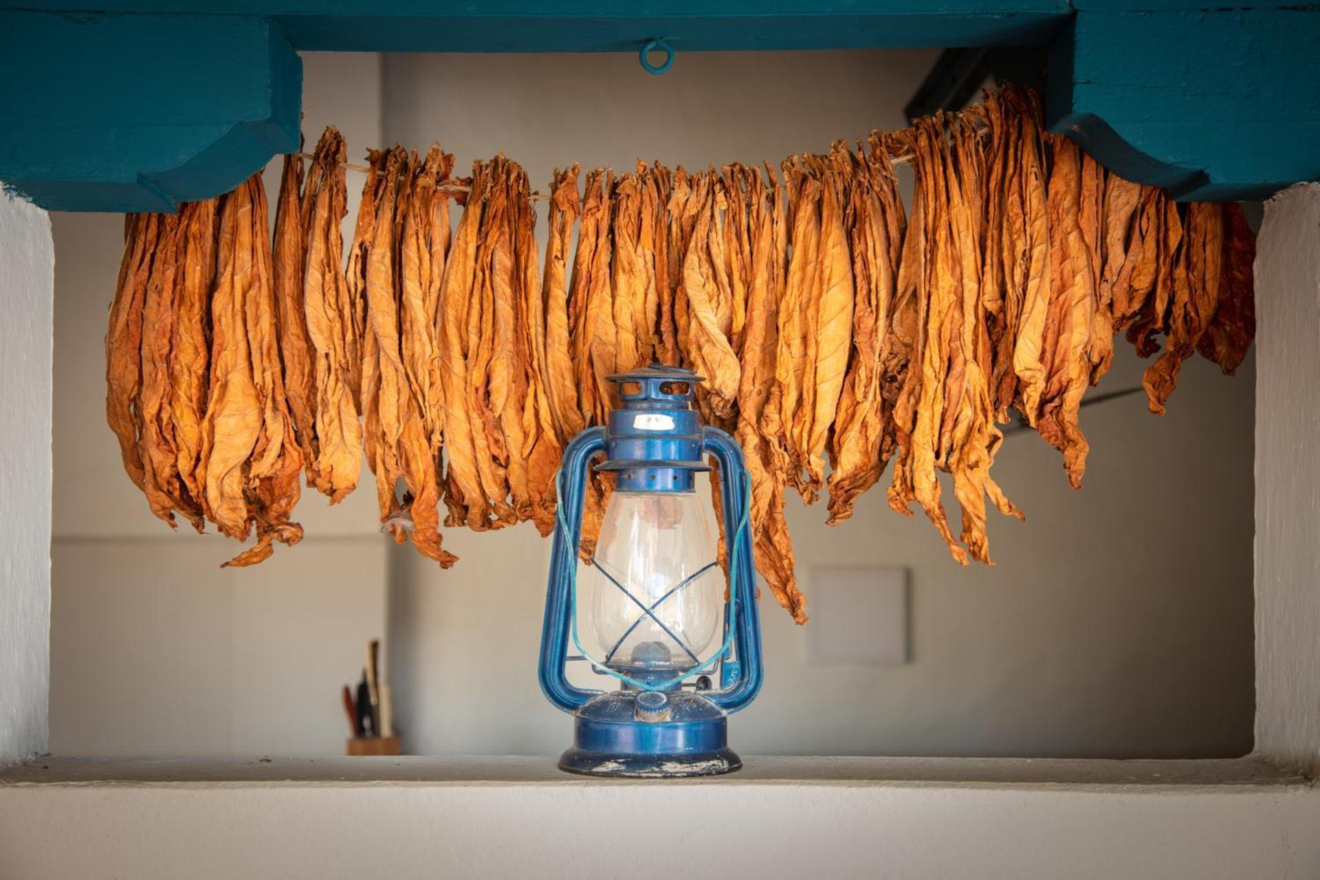 Posada Del Campanario Barichara Eksteriør bilde